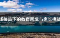 择校热下的教育困境与家长挑战