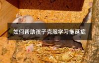 如何帮助孩子克服学习拖延症