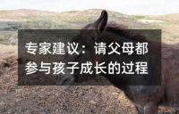 专家建议：请父母都参与孩子成长的过程