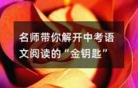 中考语文之阅读训练模拟及答案:奔落的雪原