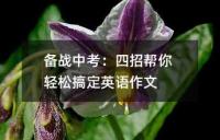 特级教师指导：助你中考英语作文获得高分