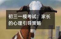 如何尽快适应初中学习：家长与学生的策略与行动