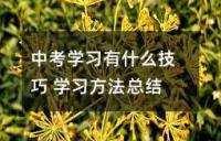 中考学习有什么技巧 学习方法总结
