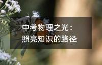 中考物理之光:照亮知识的路径