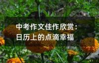 中考满分作文如何构思:反向式构思