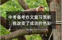 中考备考作文复习赏析:知识的陪伴,青春的丰碑