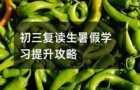 初三复读生暑假学习提升攻略