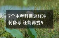 中考冲刺:高效复习策略与技巧