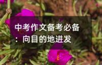 中考作文备考复习必备赏析：告别不是悲伤