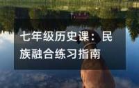 七年级历史下册期中考试试卷