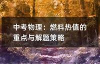 中考历史选择题解题策略