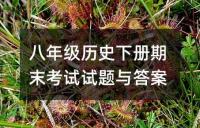 八年级历史下册期末考试试题与答案