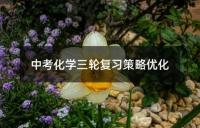中考化学三轮复习策略优化