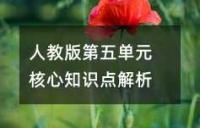八年级政治上册第四单元知识点总结