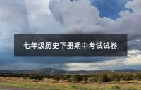 七年级历史下册期中考试试卷