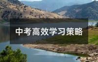 中考备考策略与学习建议