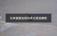 九年级政治知识点之依法维权