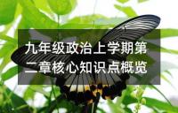 九年级政治知识点之依法维权