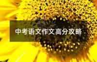 中考数学高效复习攻略