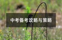 中考备考攻略与策略