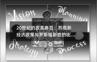 20世纪的改革典范：苏俄新经济政策与罗斯福新政的比较研究