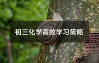 初三化学高效学习策略