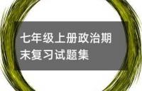 七年级上册政治期末复习试题集