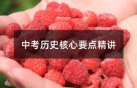 中考历史核心要点精讲