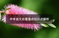 中考物理重点易错知识点解析