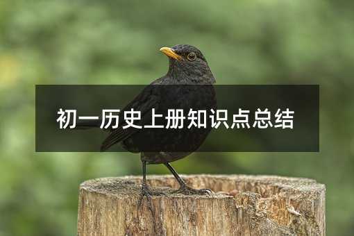 初一历史上册知识点总结