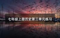 七年级上册历史第三单元练习