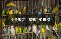 中考政治“基础”知识点
