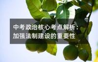 中考核心知识点精讲与高频考点突破