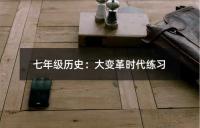 七年级历史期中考试试题集
