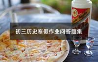 初三历史寒假作业问答题集