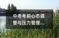 中考语文专题高效复习指南