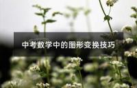 中考数学:圆的概念精讲
