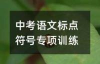 中考语文四字成语高效复习指南