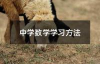 中学数学学习方法