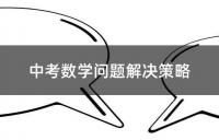 中考数学问题解决策略