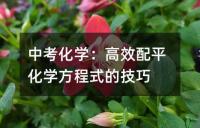 中考化学:高效配平化学方程式的技巧