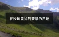 在沙坑里找到智慧的足迹