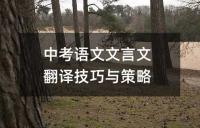 中考语文文言文翻译技巧与策略