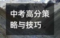 中考高分策略与技巧