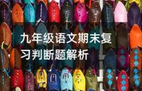 九年级语文期末复习判断题解析