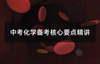 中考化学备考策略