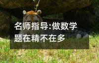 名师指导:做数学题在精不在多