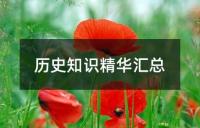 中考历史:重要外交知识点精讲