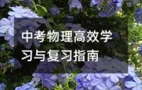 中考物理高效学习与复习指南
