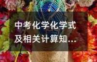 中考化学化学与生活知识点总结